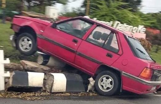 外卖龙虾段子搞笑,外卖的虾是不是都是冻虾