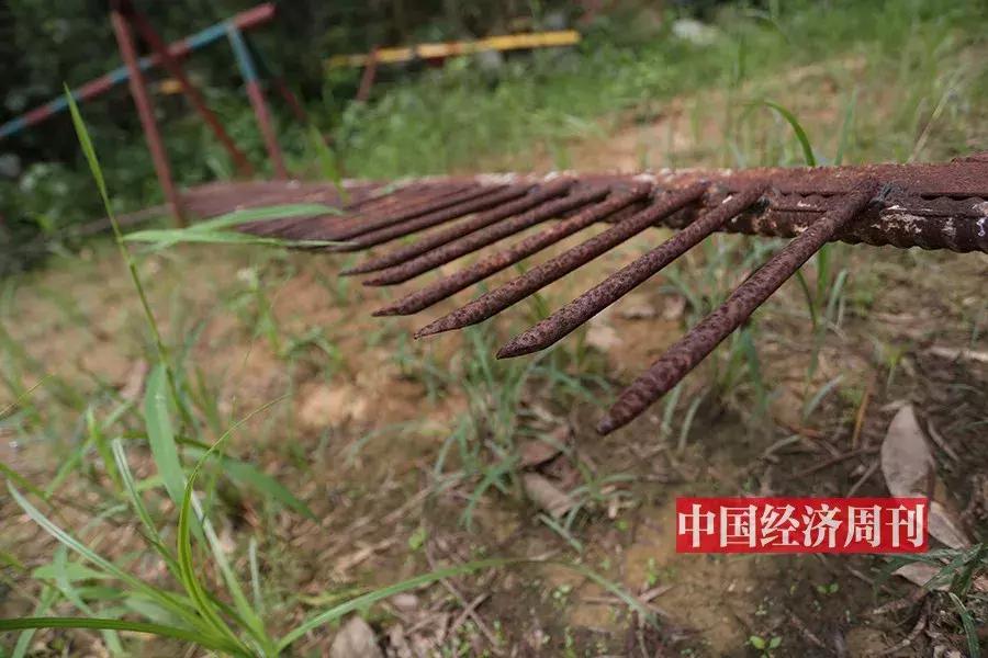 莆田亿万富翁坐牢,福建莆田亿万富豪被通缉