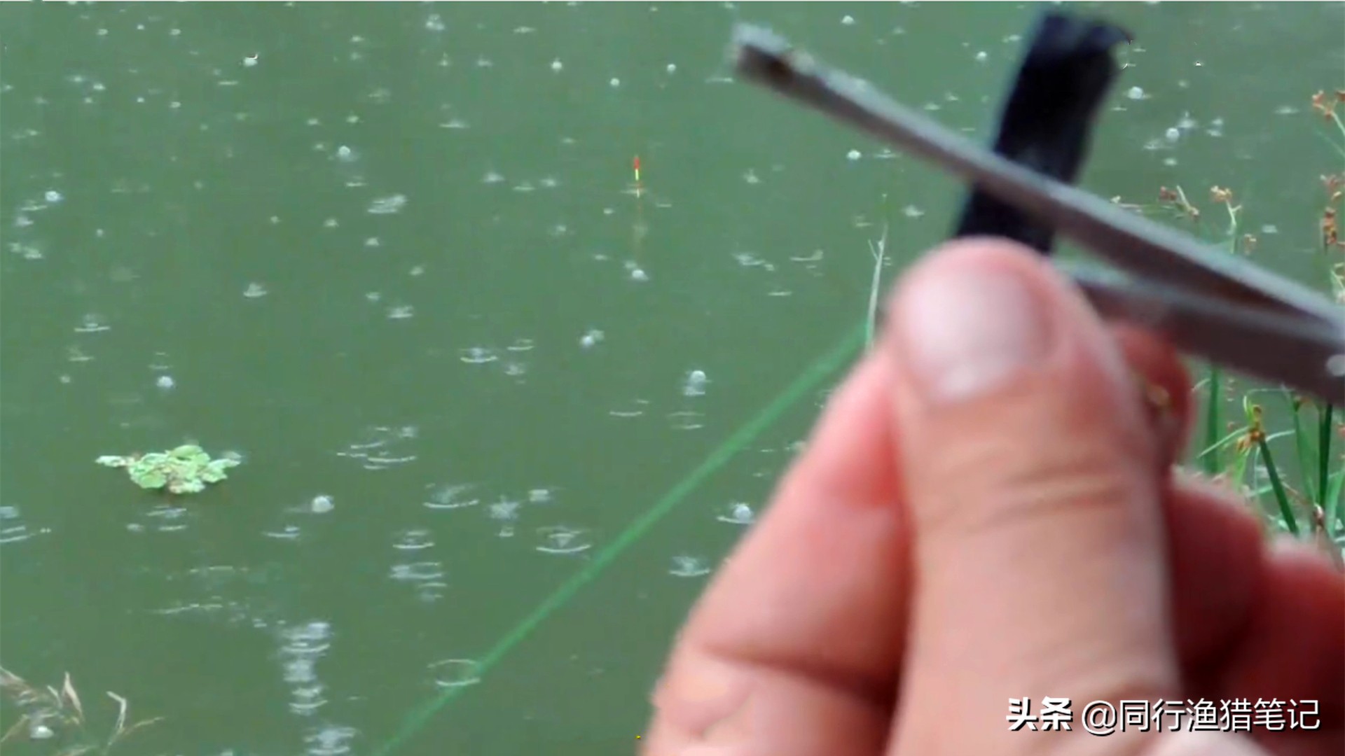 野钓流水怎么调漂准确又快,野钓万能4步调漂法