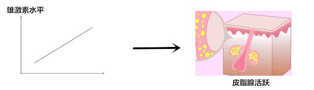 皮肤油是因为缺水吗,皮肤油是不是缺水