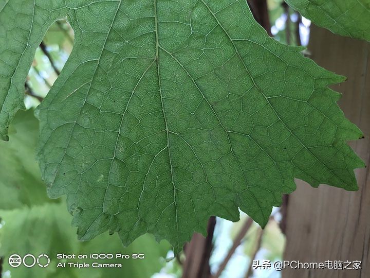 1699元5g手机性价比排行榜,iqoopro5g8+128g二手多少钱