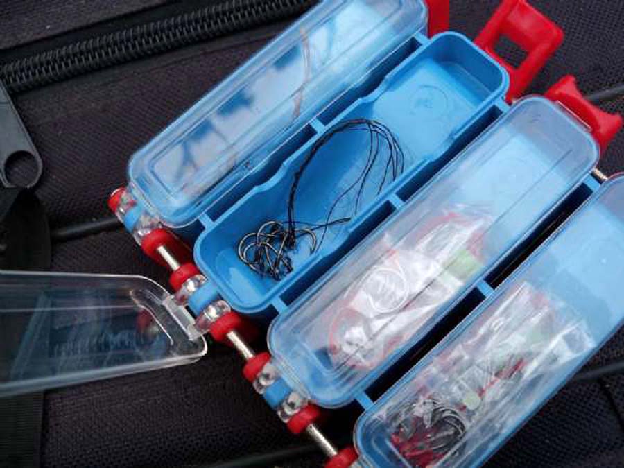 海竿钓不到鲤鱼怎么回事,海竿钓不到鲢鳙是什么原因