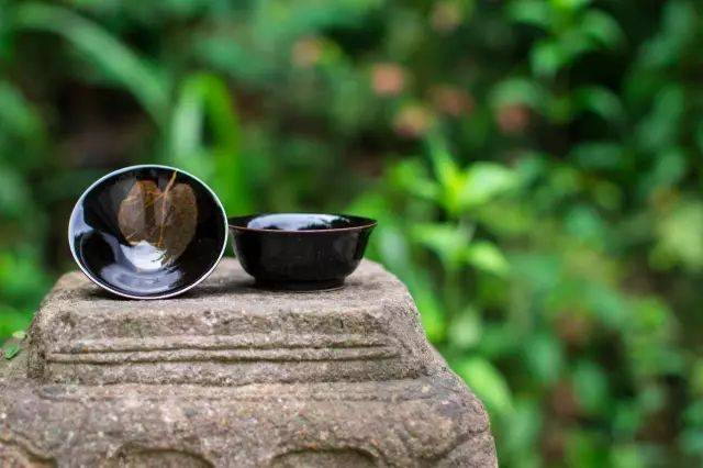 散文岁月因生命的淡然而静美,散文一颗纯净自我的心