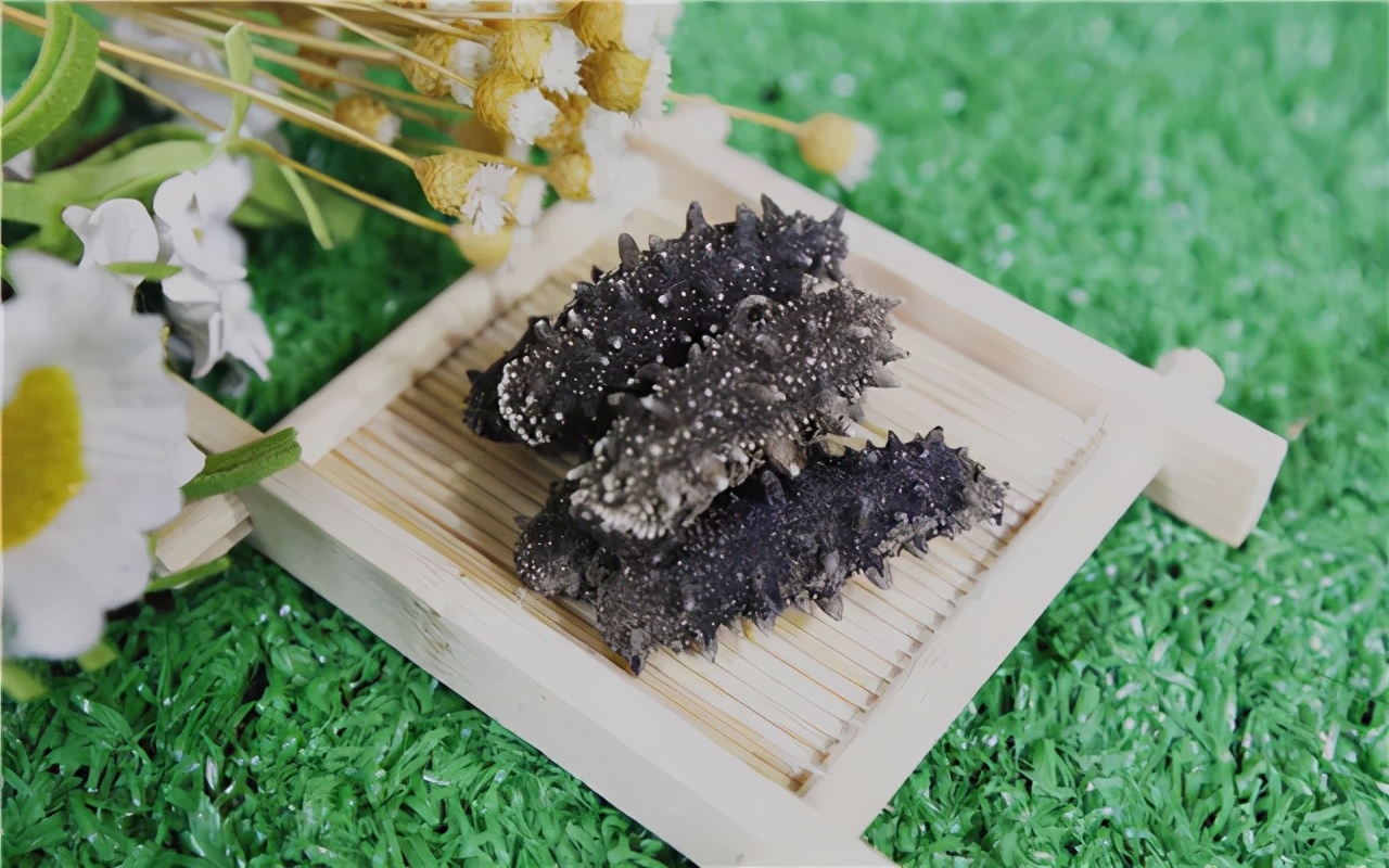 海参为什么说是正经海参,海参含盐量