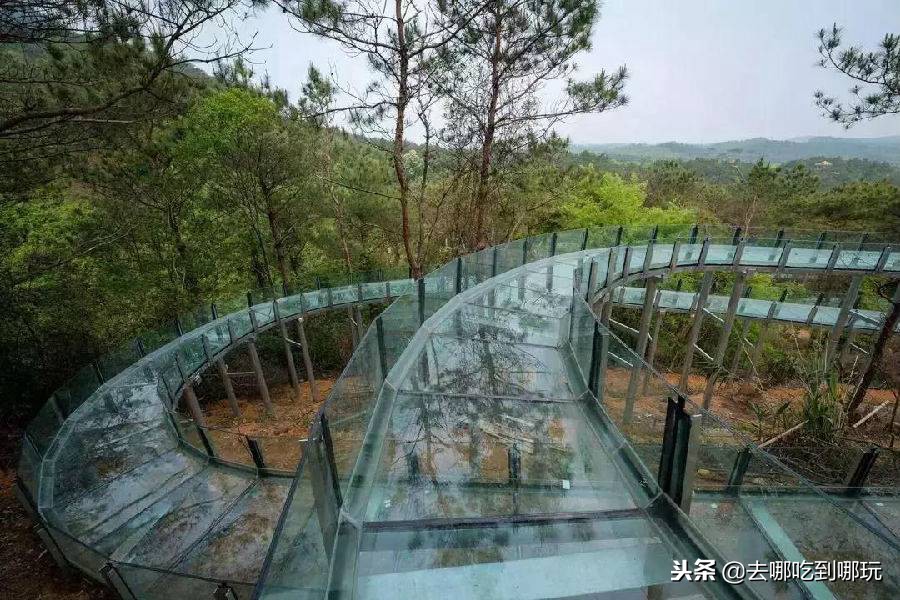 牛鱼嘴空中漂流丛林穿越,牛鱼嘴双龙玻璃空中漂流团购