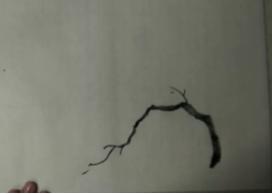 写意梅花画法技法教程视频,小写意花瓶里的梅花的画法