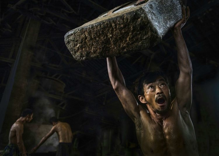 8月向日葵云海（徽州百工、黟县的朋友圈、瓷都景德镇）采风