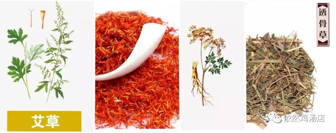 喝酒蹦迪保温杯泡枸杞,啤酒泡枸杞穿秋裤蹦迪