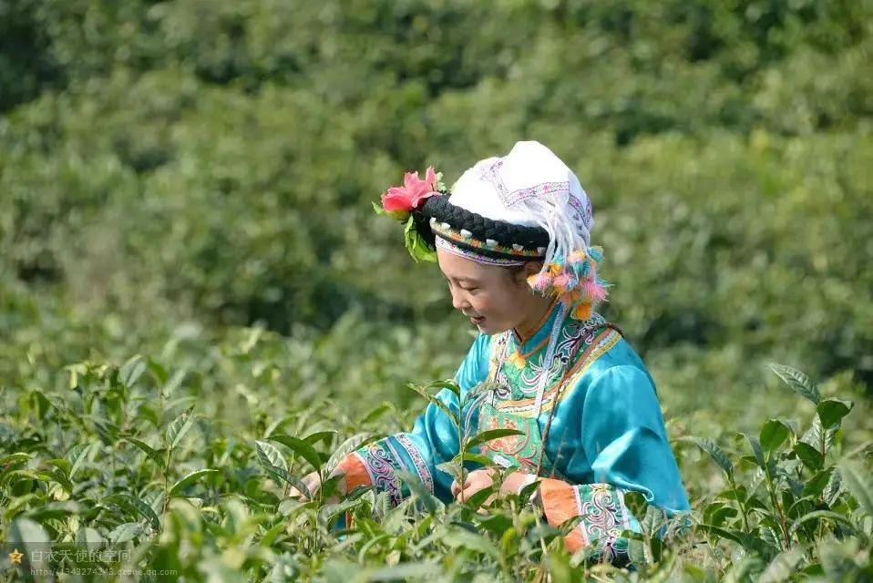 30岁小伙下乡创业7万元自己当老板,97年小伙返乡卖特产带动200人就业