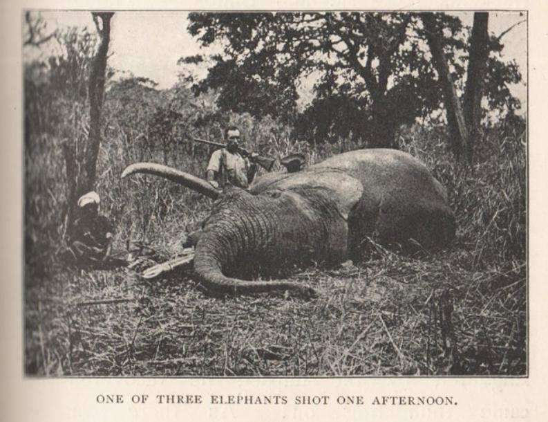 荒野大镖客2狙击枪和步枪,荒野大镖客2四种狙击步枪