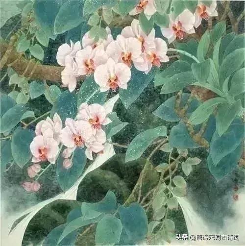 古人幽默古诗,趣味古诗跟读