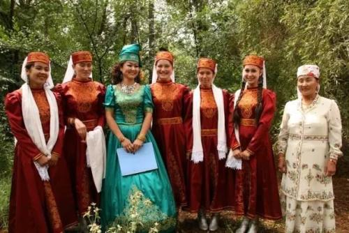 中国56个民族知识大全书籍,关于中国56个民族的知识