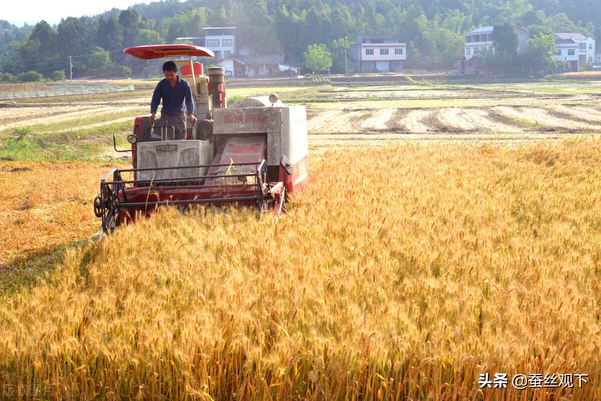 四川三台县最繁华的商业街,四川三台值得一看地方