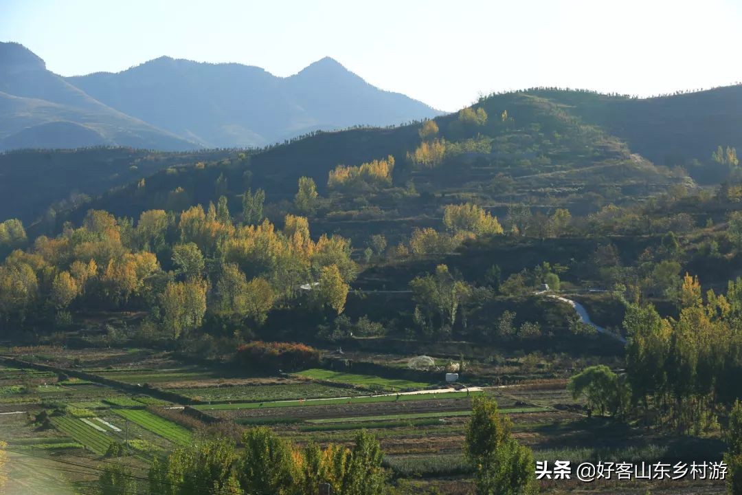 济南春季赏花自驾,济南踏青赏花新模式