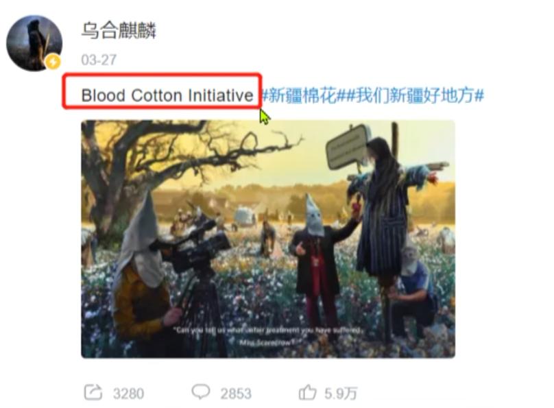 乌合麒麟事件起因,乌合麒麟血棉解析