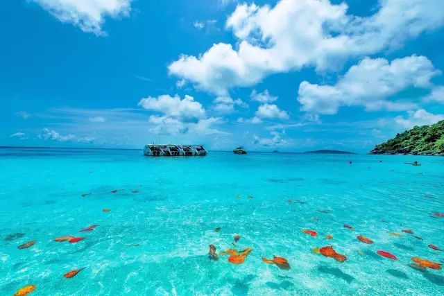 斯米兰岛最简单三个景点,斯米兰景点