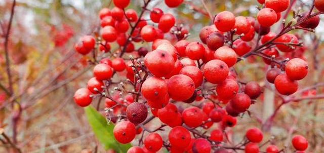 和谁在一起的确很重要美文,和谁在一起的确很重要