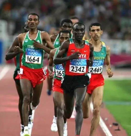 奎罗伊贝克勒基普乔格同框比赛,基普乔格战胜贝克勒和奎罗伊