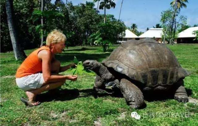 到了澳洲之后才知道的奇葩事,去了澳大利亚才知道的事