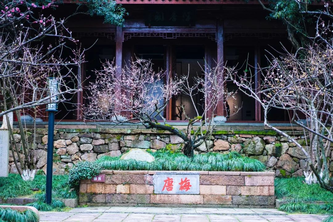 江南三大梅园,杭州江南三大梅花