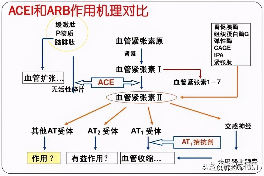 一级高血压如何锻炼调理,高血压怎么形成的原因是什么