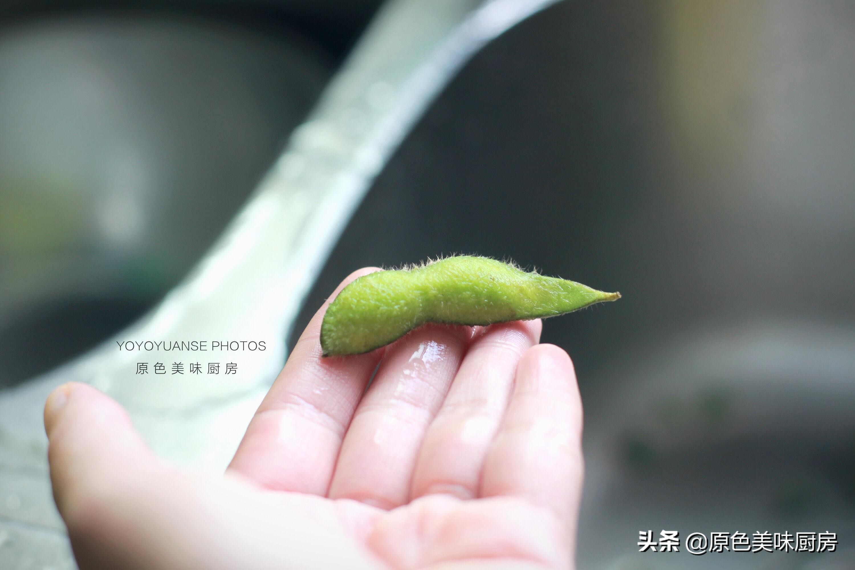 正宗的卤毛豆做法,简单快速的卤毛豆做法