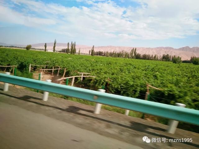 去库木塔格沙漠的感受,去新疆库木塔格沙漠最佳时间