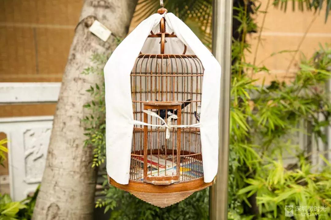 香港小众地点大全,香港最好逛的地方