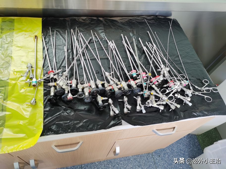 沈阳两天一夜旅游,沈阳之旅攻略