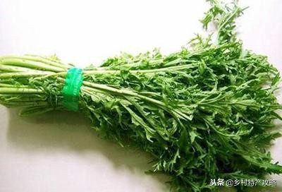 河北十大特产，雪花梨、坝上口蘑、白洋淀松花蛋，保定春不老