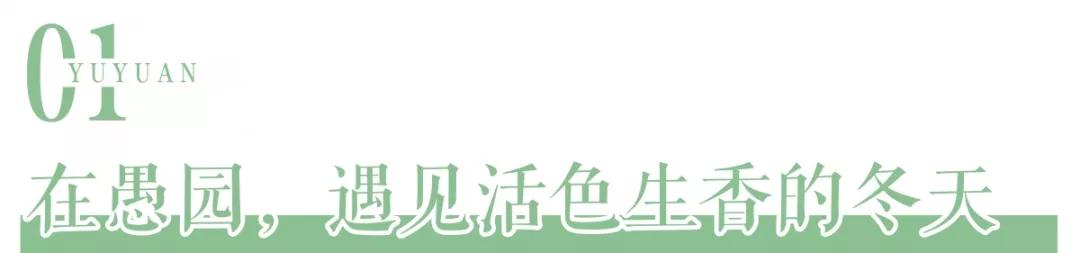 南京腊梅最佳观赏时间,南京赏梅花景点推荐