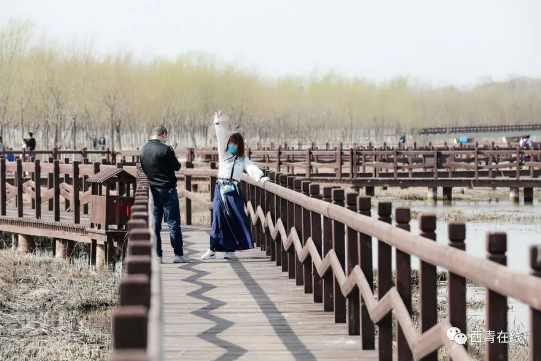 天津最近新开放的公园,天津东疆亲海公园2022年开放吗