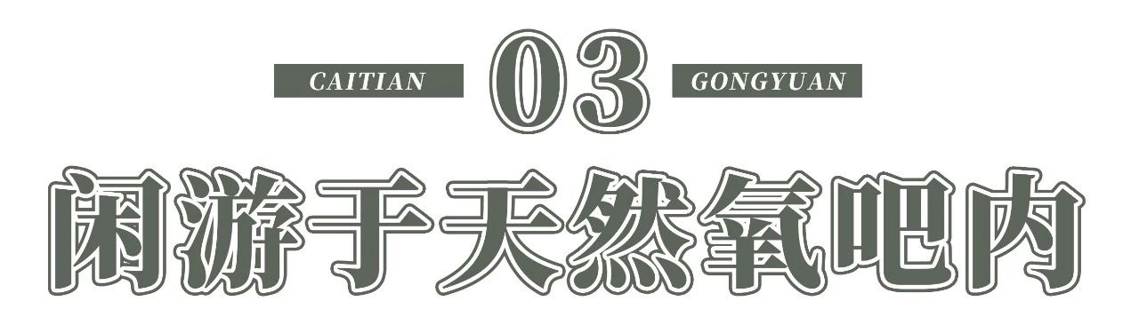 深圳十大顶级公园,深圳市十大风景公园排名