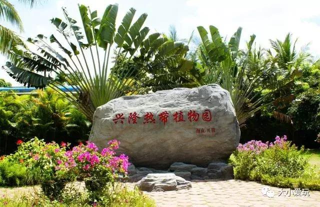 小众海边适合度假酒店,踏浪海景度假酒店