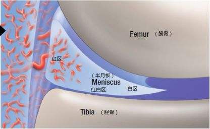 兰姆不是受伤了吗,兰姆受伤完整版