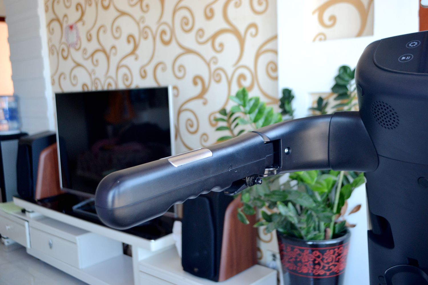 因为老罗入坑！入手了野小兽P30跑步机，坚持了半个月谈谈感受