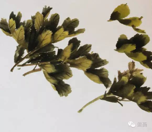 张克申写意牡丹画法教程,邵丹写意牡丹各阶段画法