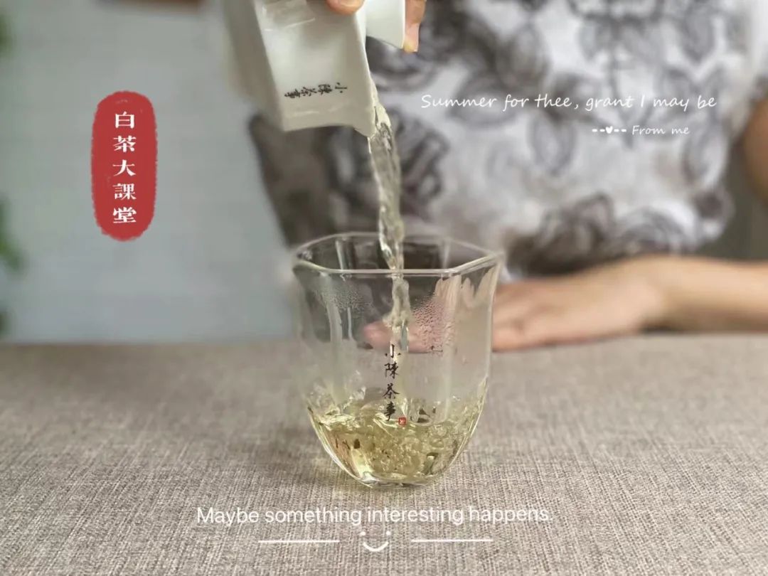 盖碗茶具的优缺点,陶盖碗适合什么茶具使用