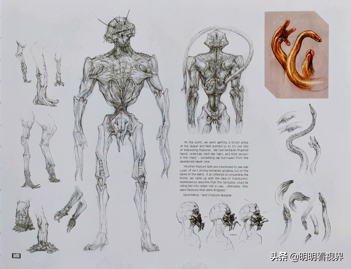 有生之年电影——《第九区》背后的故事，大虾的前世今生（一）