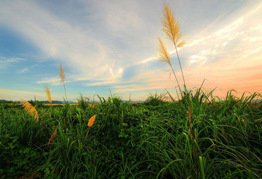 古诗最是一年春好处,表达一年收获感慨的诗句
