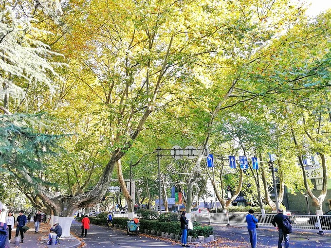 杭州西湖乌镇苏州南京上海攻略,天青色等烟雨乌镇旅游