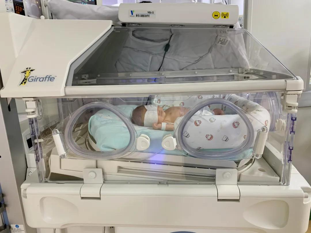 新生儿突然变黄要紧急住院吗,出生10天的小宝黄疸