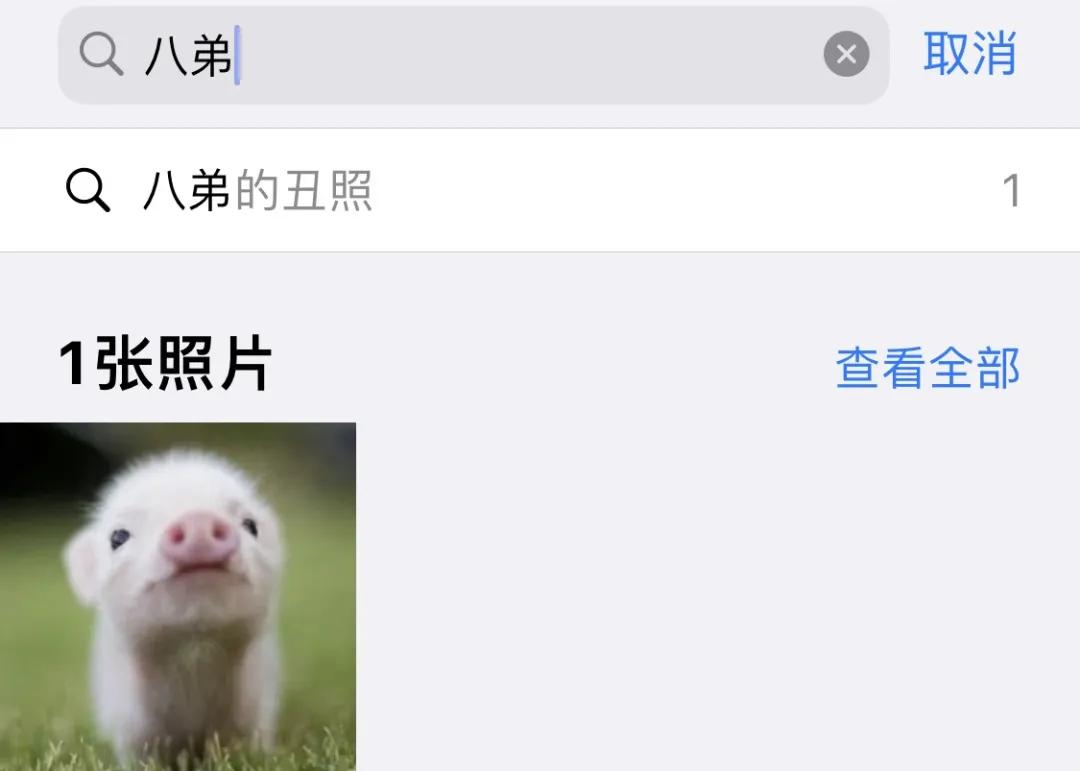 用了五年的iphone11,iphone相册总结