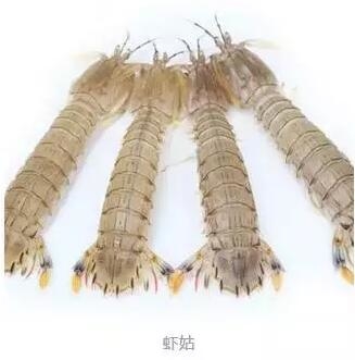 心痛的感觉!八种海鲜暂别啦