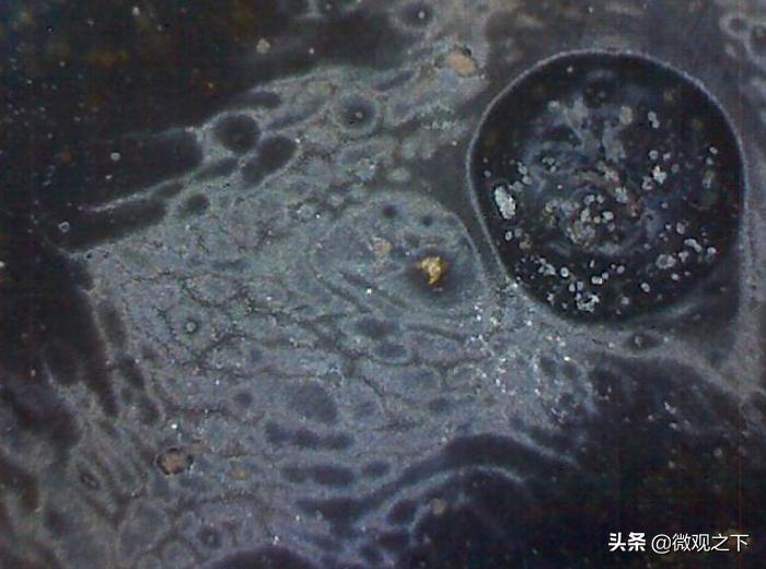 瓷器识别基础知识,瓷器微观鉴定视频教程