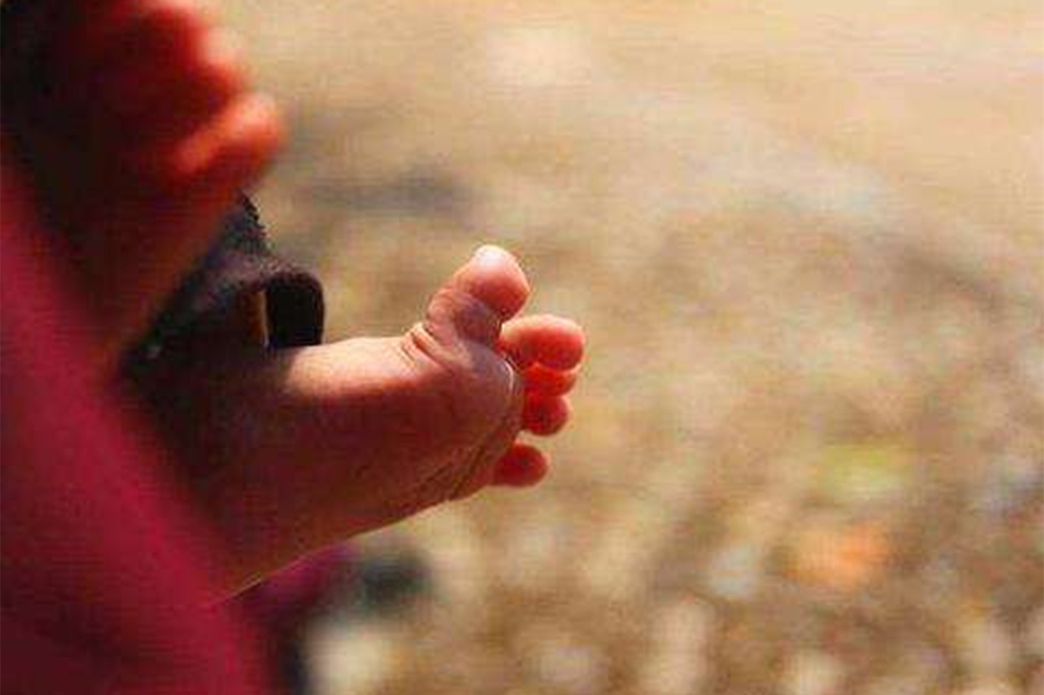 晒太阳维生素,阳光是最好的维生素d