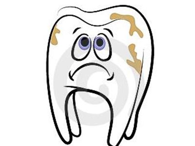 猫有牙周炎该怎么治疗,猫有牙龈炎怎么治疗