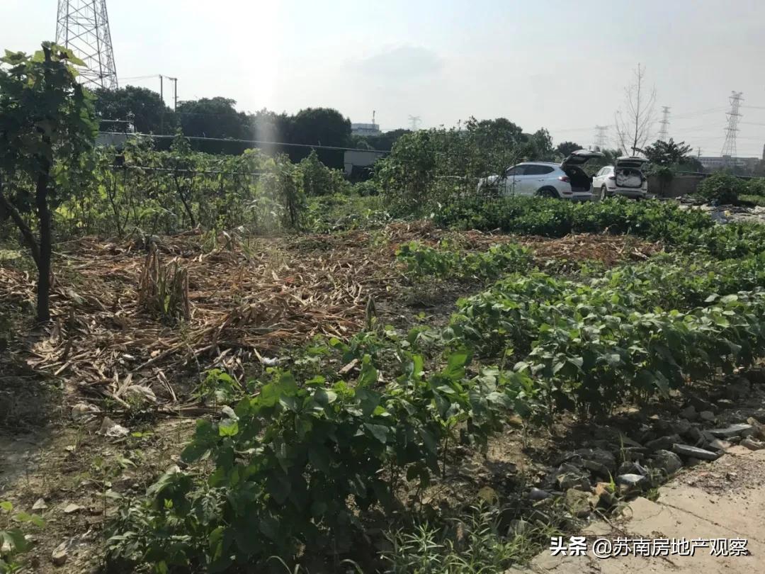 沉寂五年完整版,车坊最新消息