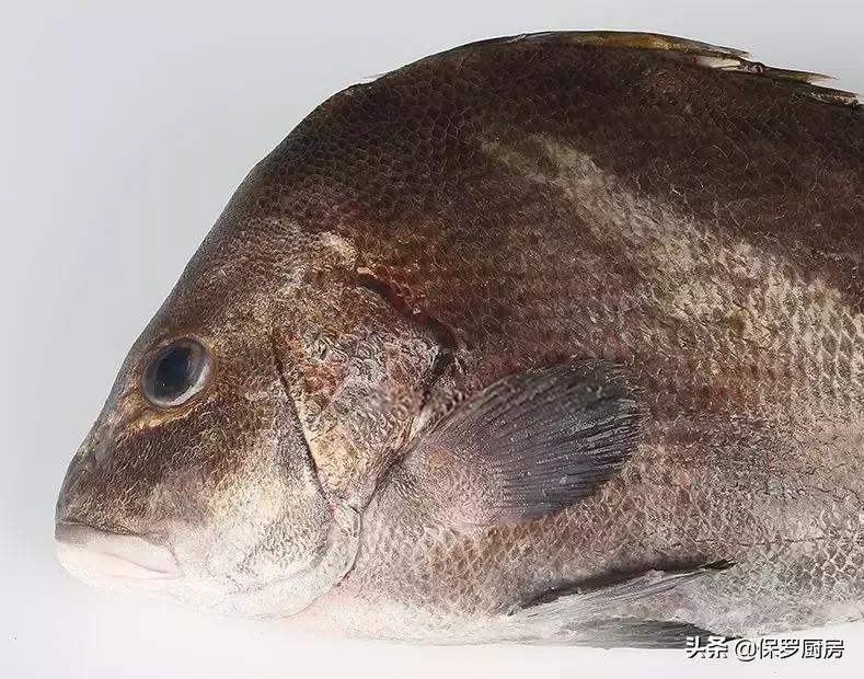 海鲜大荟萃,常见贝壳类海鲜