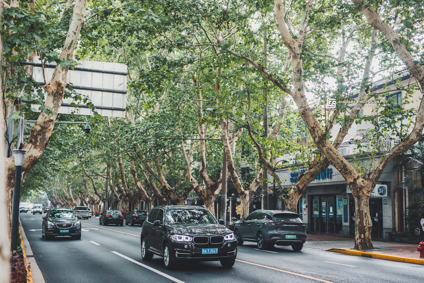 上海香榭丽舍大街,上海有一条东方的香榭丽舍大街